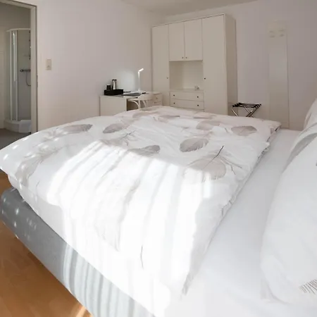 Guest house Aparthome L.i.n.z. Bergham