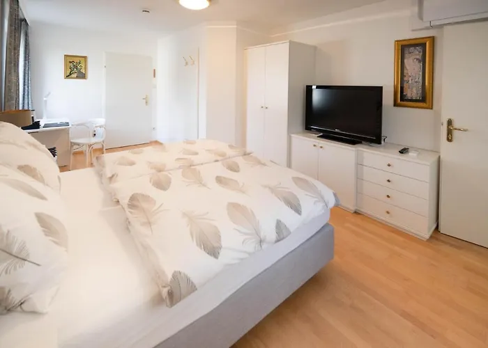 Aparthome L.i.n.z. Bergham